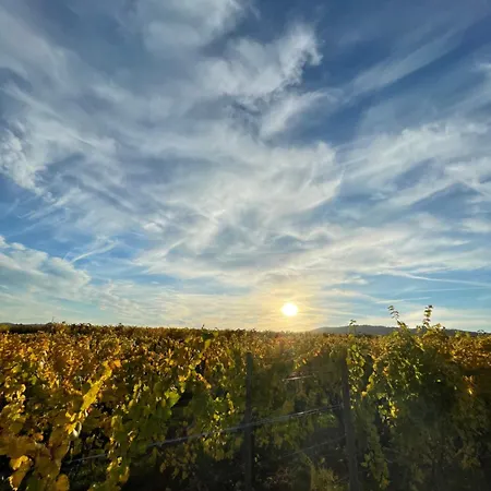 Aux P'tits Coeurs D'alsace * ベーブレンハイム