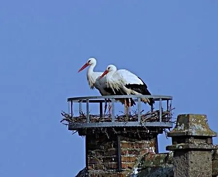 Aux P'tits Coeurs D'alsace